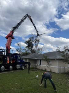 Emergency Tree Services
