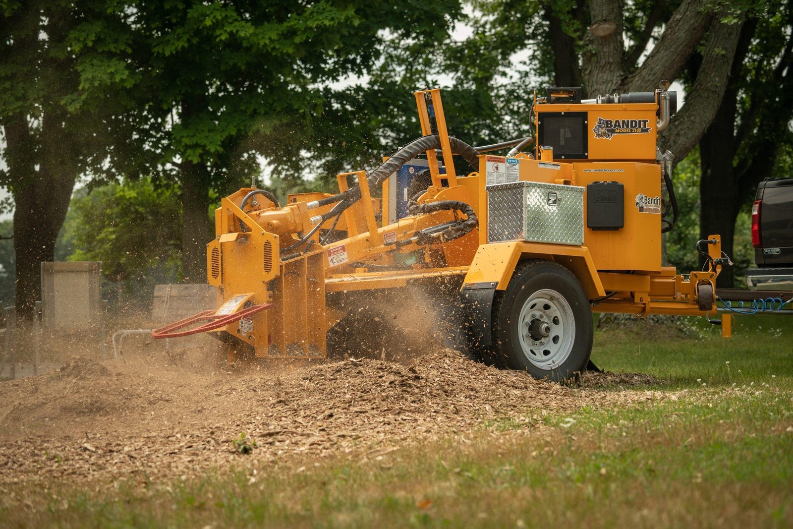 How Stump Grinding Can Improve Your Landscape