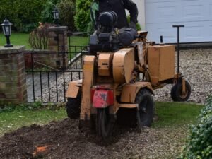 Stump Grinding