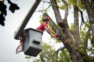 Tree Pruning