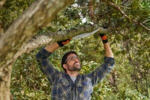 Tree Pruning