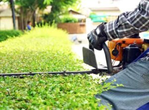 Hedge Trimming
