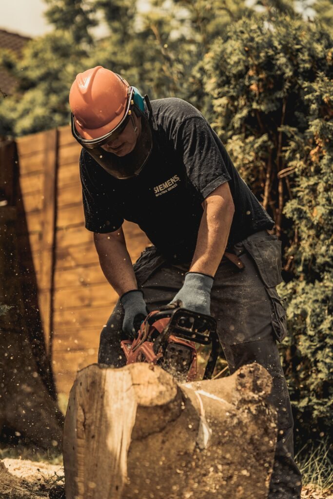 Tree Surgeons Grimsby